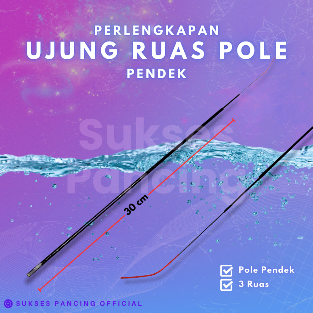 Ujung Ruas Pole Pendek Tegek 3 Ruas