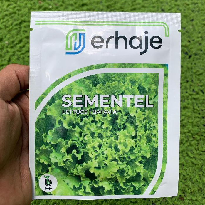 Benih Bejo Seed - Selada Batavia Sementel Kemasan 1000 Pills / Benih Selada