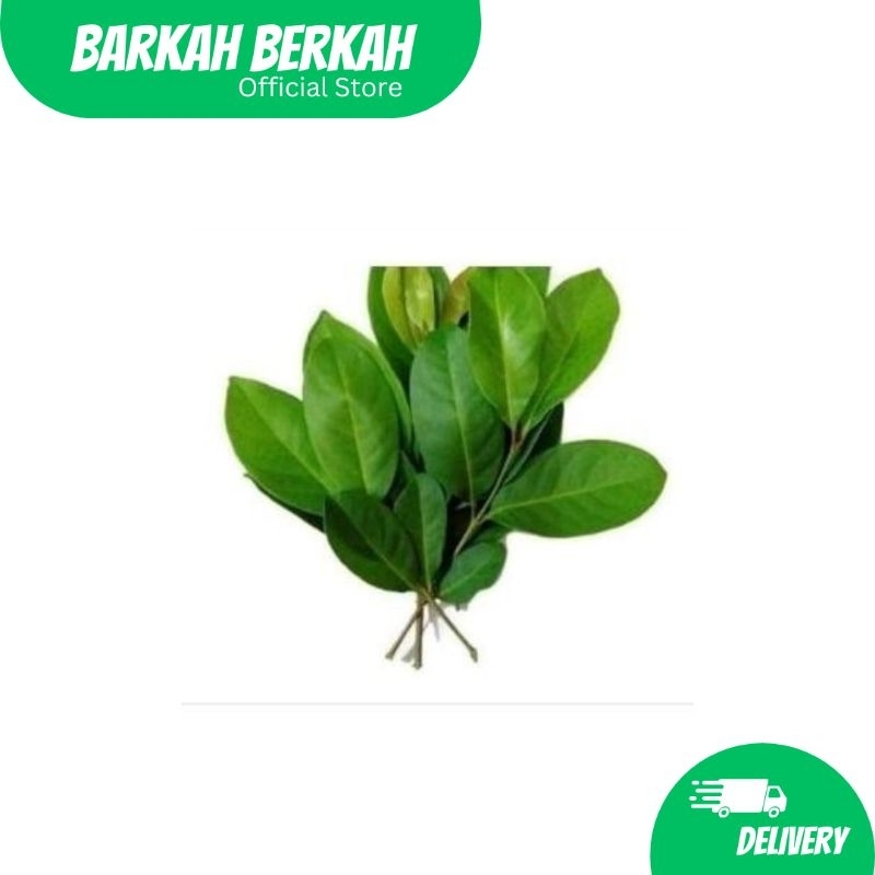 

Sayuran Segar Jakarta (Daun Salam)