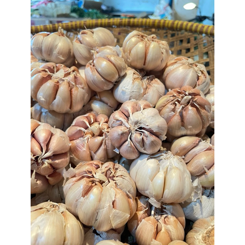 

BAWANG PUTIH SINCO BERSIH 500gr/1kg