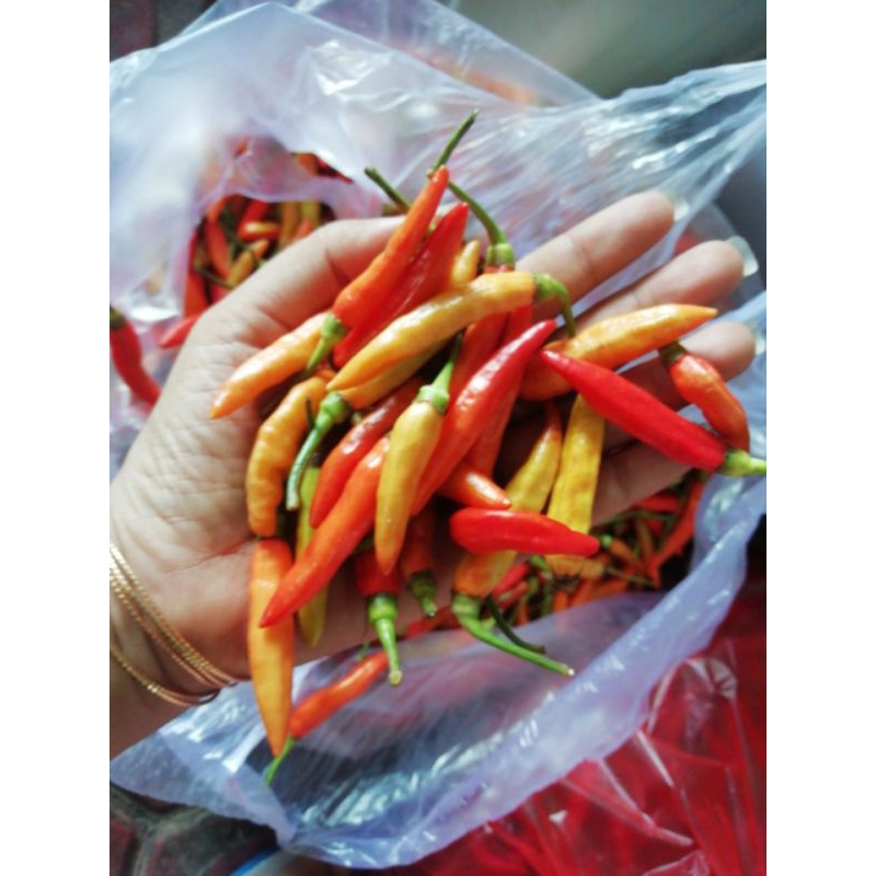 

cabe asmoro fress pedas 1kg