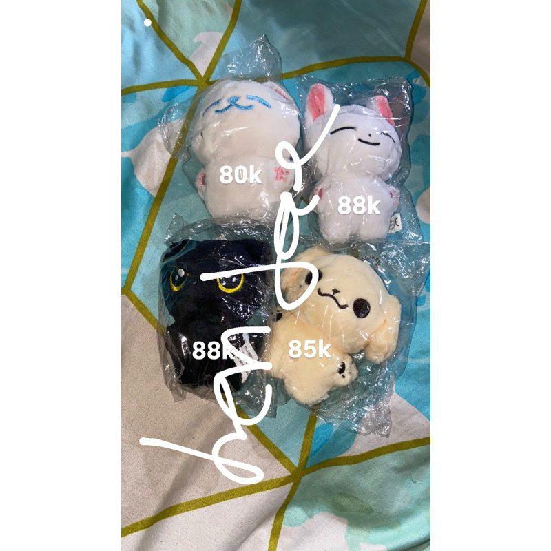 doll enhypen and nct