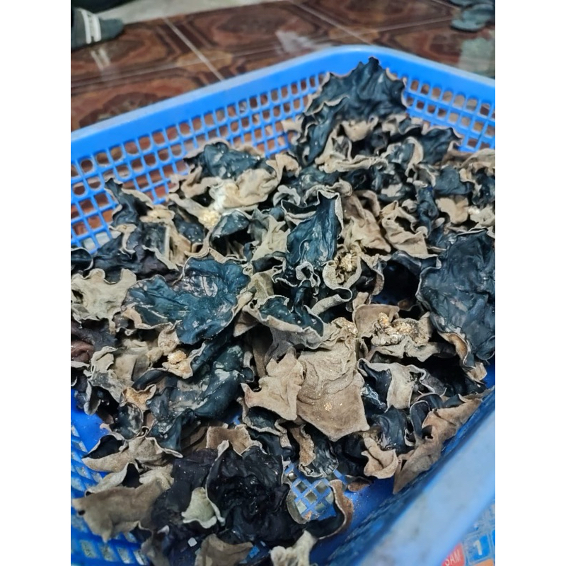 

Jamur kuping kering 100 gr | kualitas terbaik!!