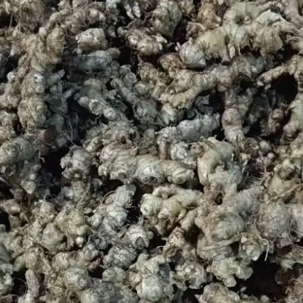 

Jahe emprit segar 500 gram