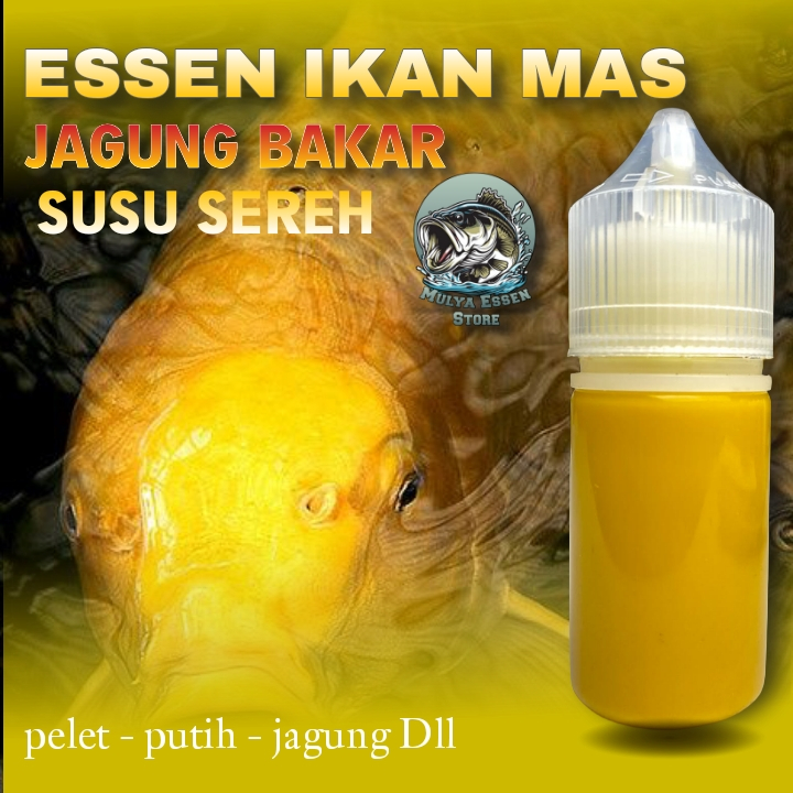 Essen Jagung Bakar Susu Sereh Khusus Ikan Mas Babon dan Rame, Essen Ikan Mas Paling Gacor, Essen Ika