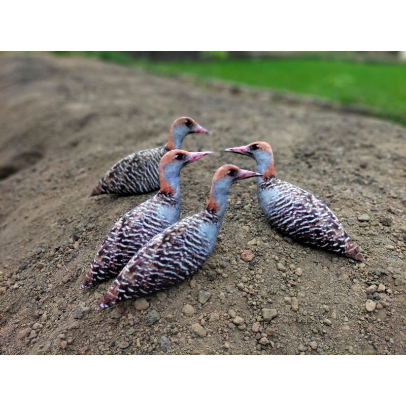 PATUNG JONTROT SINTAR SAWAH MIRIP ASLI - JONTROT BURUNG SINTAR - DECOY BURUNG SINTAR SAWAH
