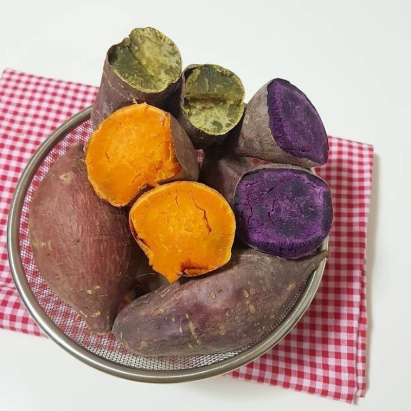 

Ubi Segar Ammaryllis Sayur