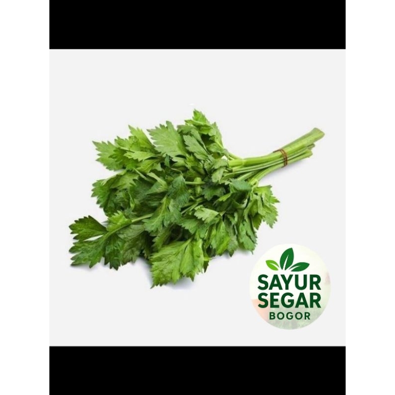 

Bawang Bombai 500 gr