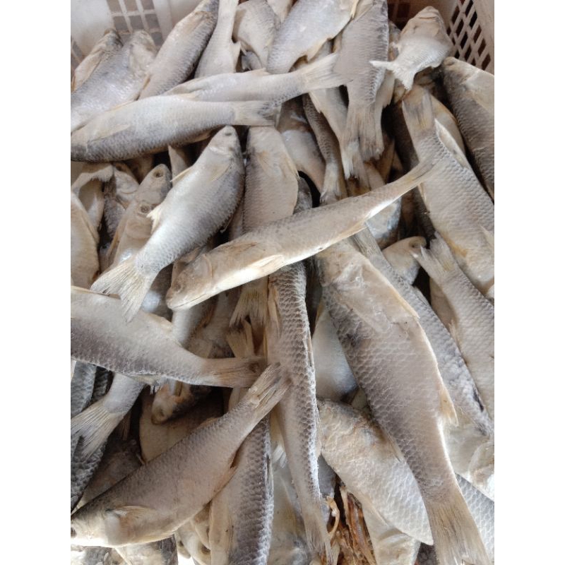 

Ikan Asin Padet / Blanak