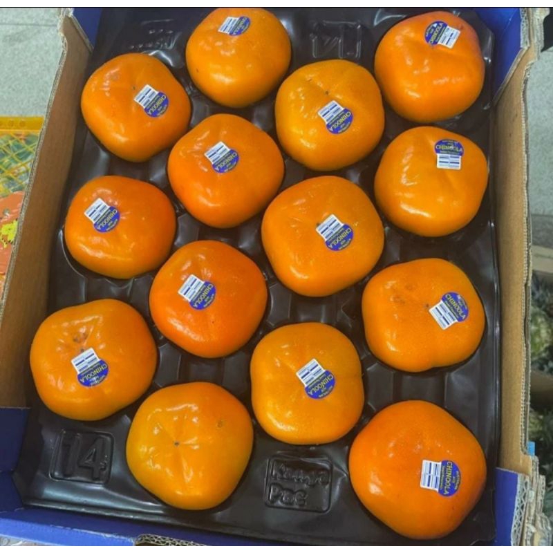 

Buah Persimon Import Manis / Buah Kesemek import / Buah Persimon / 1 kg