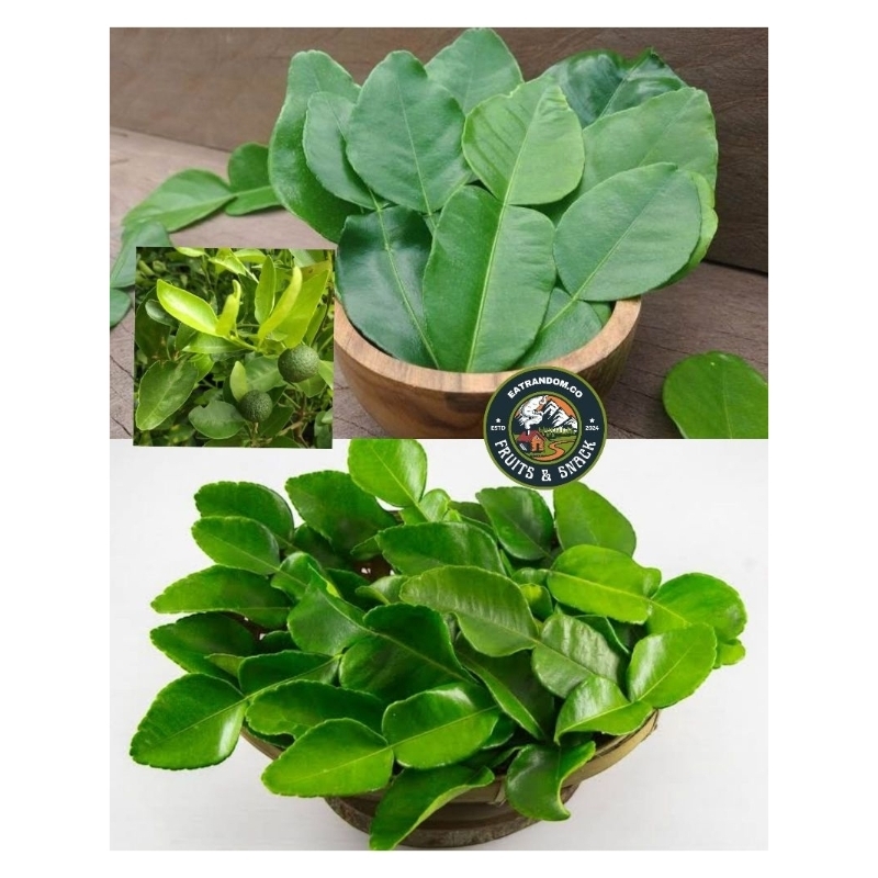 

Daun jeruk purut segar fresh langsung dari kebun 50gr