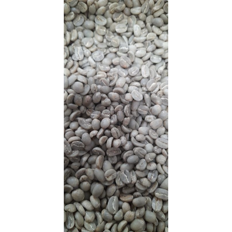 

Green Bean Arabika Temanggung (sindoro)