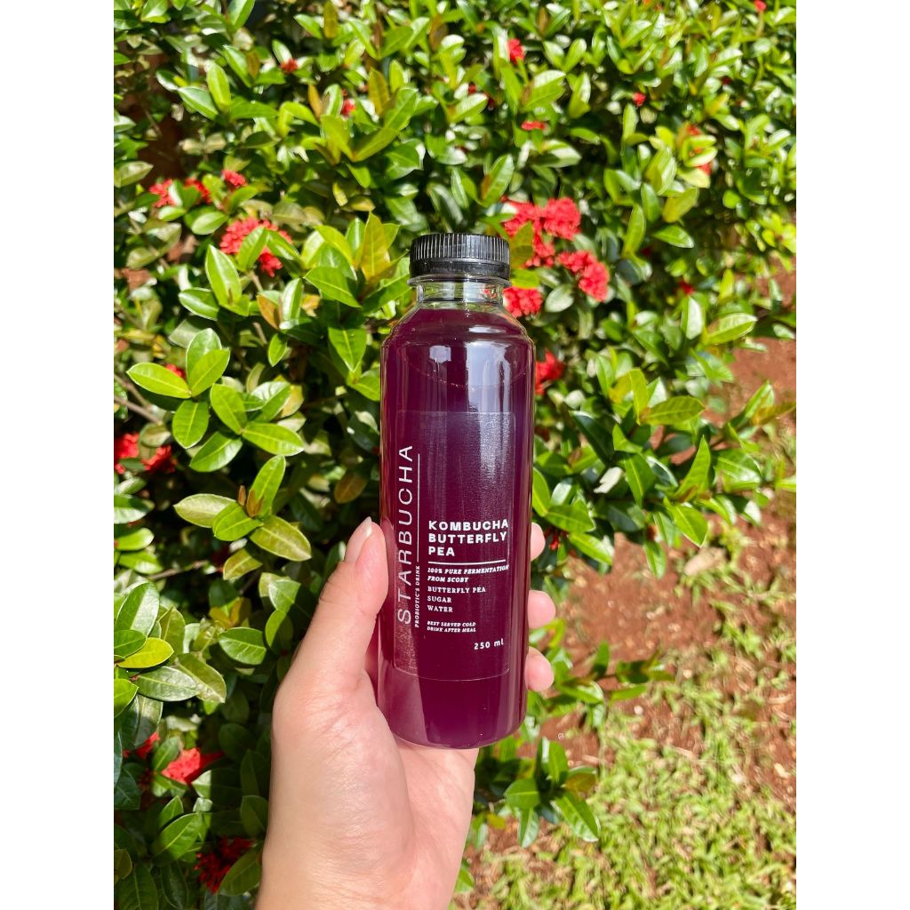 

KOMBUCHA BUTTERFLY PEA / BUNGA TELANG BY STARBUCHA