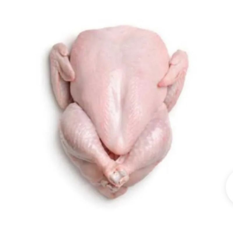 

Ayam Frozen 700 Gram