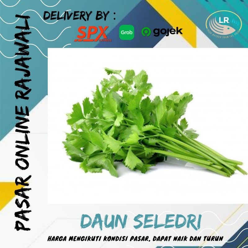 

Daun seledri