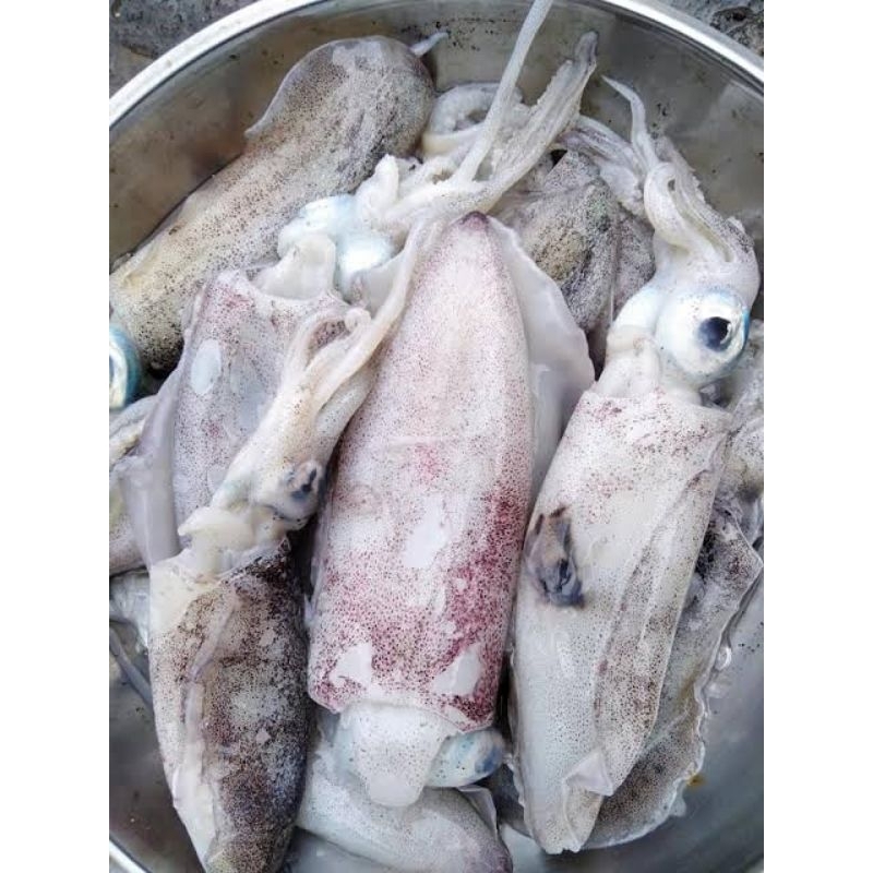 

cumi manis 1kg