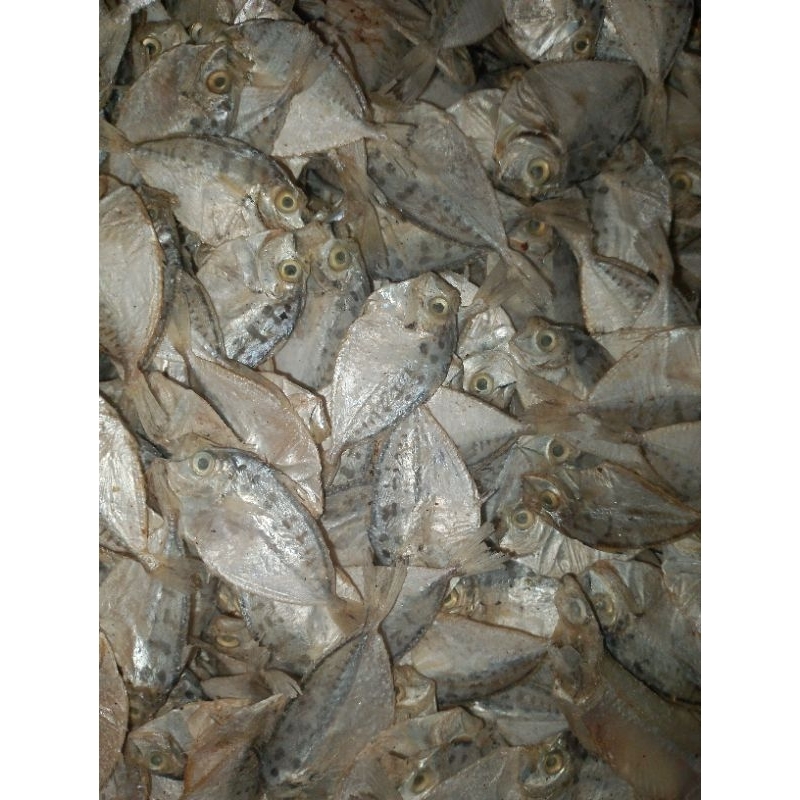 

Ikan asin baby petek/ ikan gurih/ ikan petek kecil berat 1kg