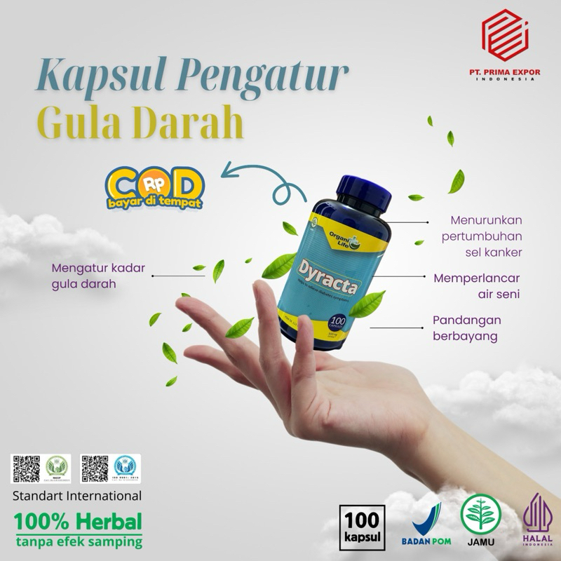 Dyracta Obat Diabetes Kontrol Gula Darah Kemasan 100 Kapsul (100% Asli standart mutu international )