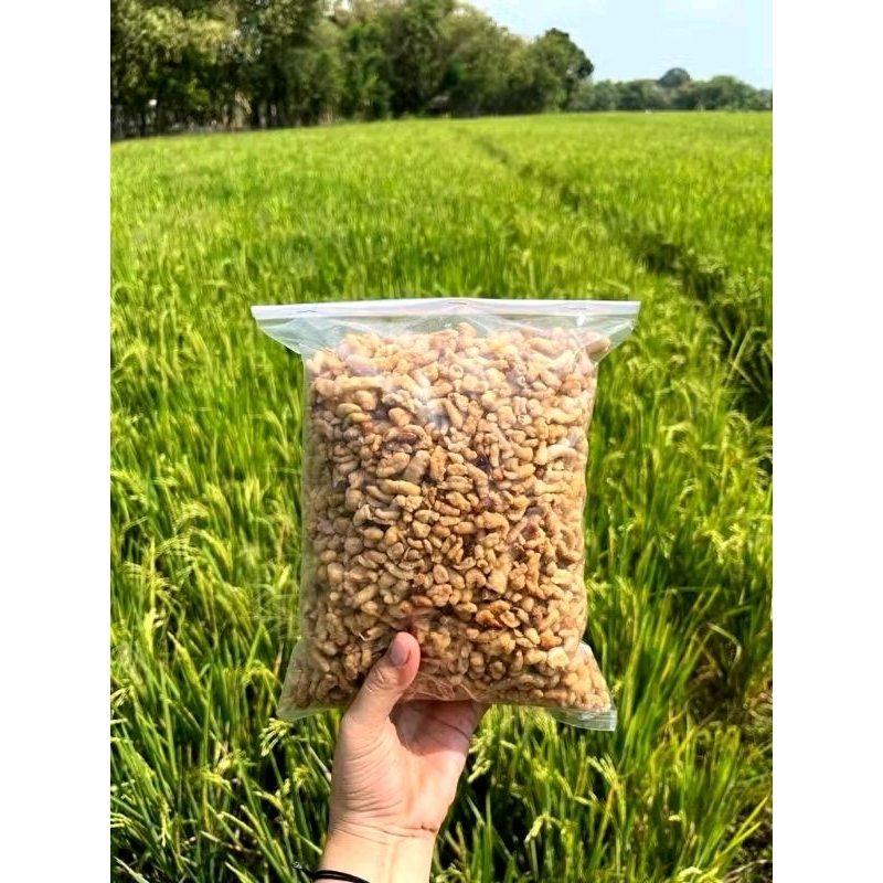 

REMUKAN KRIPIK USUS CRISPY/KERIPIK USUS AYAM/REMUKAN KERIPIK USUS