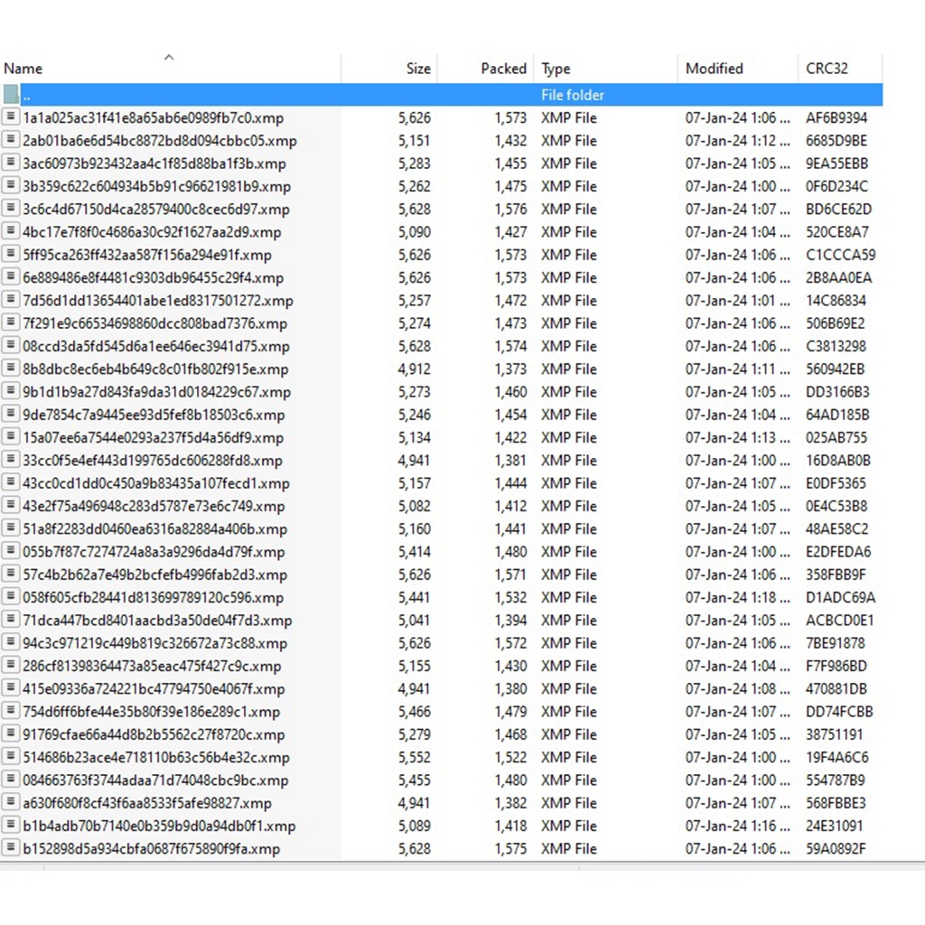 PRESET WEDDING.PREWEDD.HUNTING.MODEL LR/PHOTOSHOP MUFTI