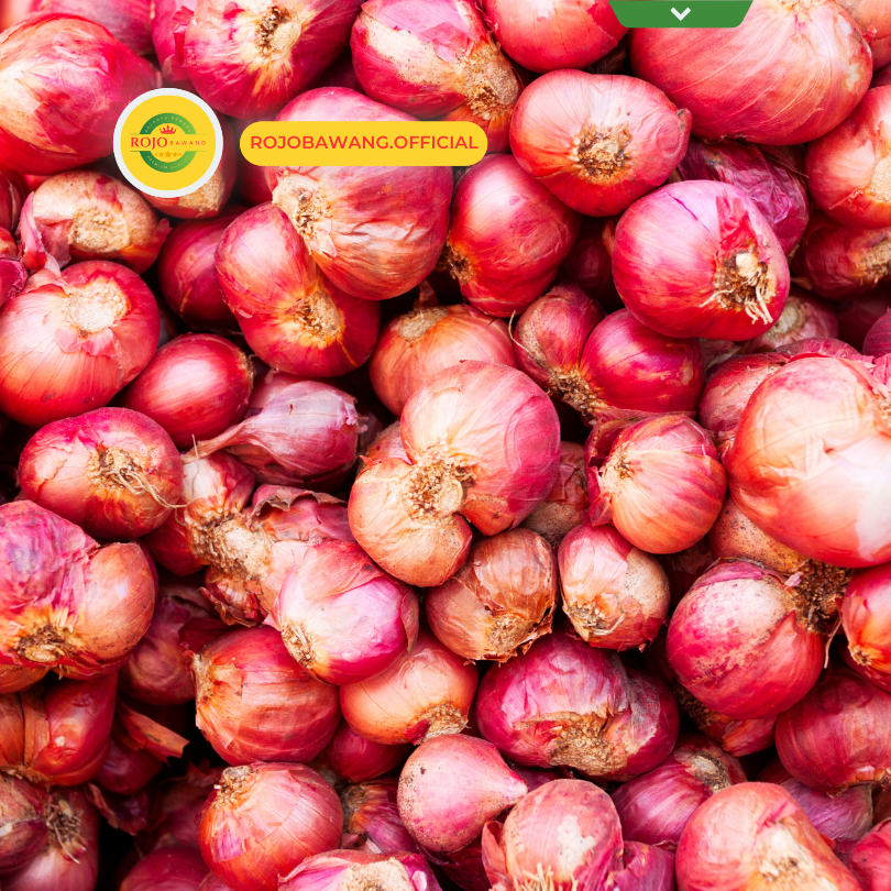

Bawang Merah Brebes Premium murah Bandung