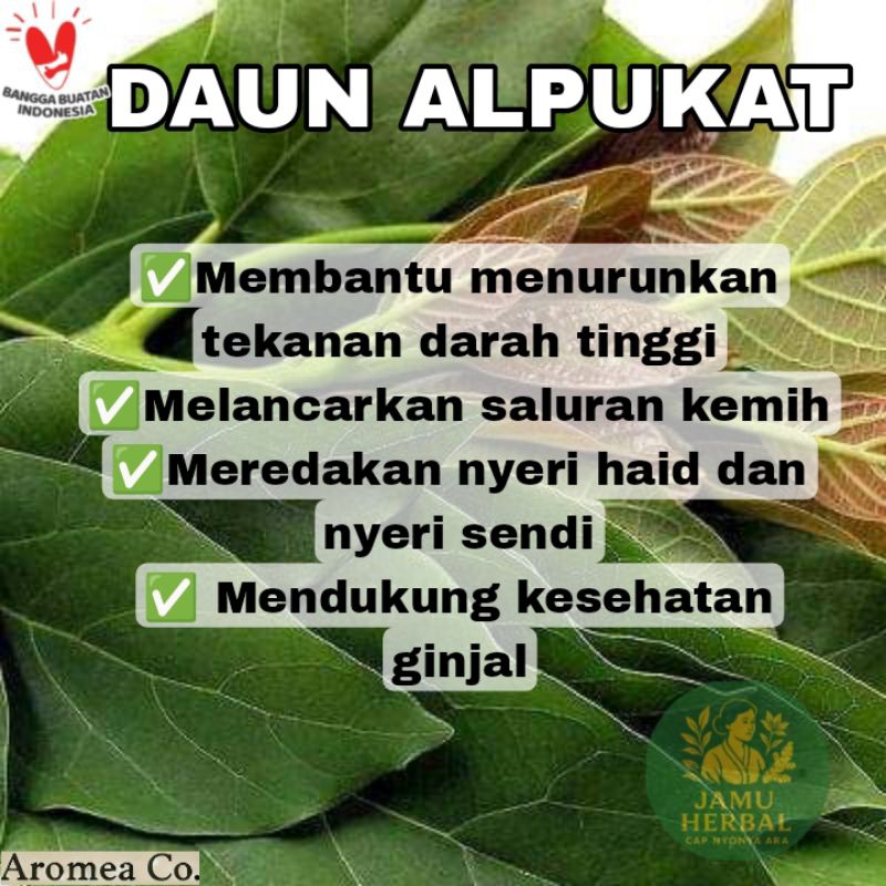 

TERMURAH | Daun Alpukat Segar Rp 500/Lembar | (PETIK POHON)