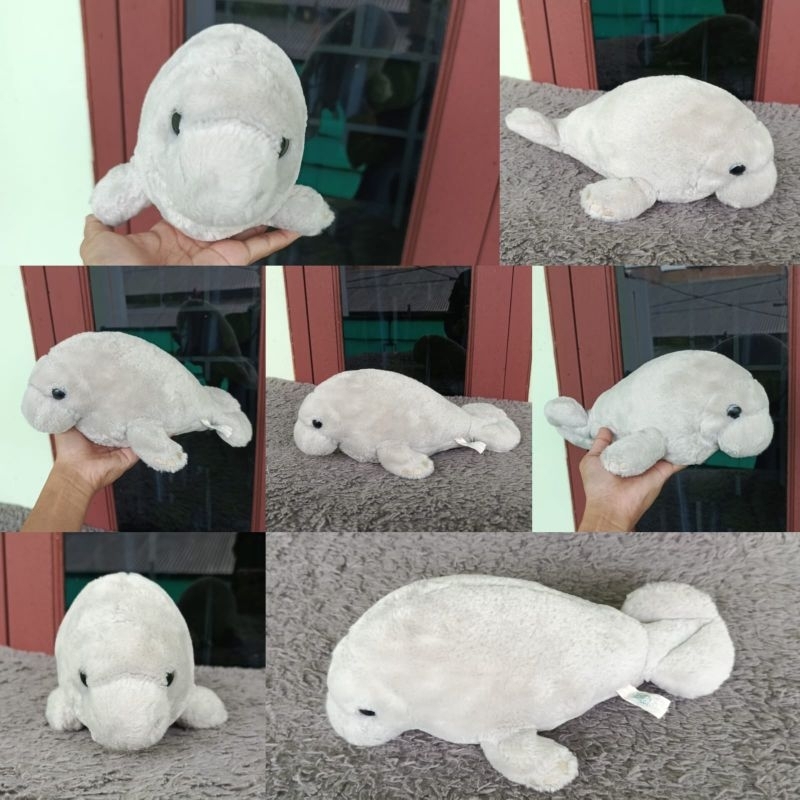 Boneka Mamalia Dugong Abu Hewan Laut Edukasi Original