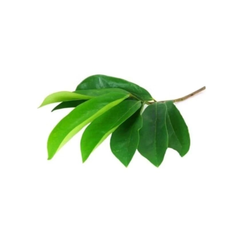 

DAUN SIRSAK FRESH ORGANIK TERMURAH TERLARIS DI PTIK DADAKAN