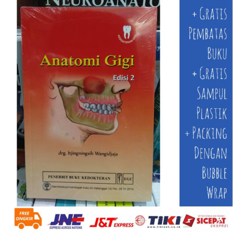 Anatomi Gigi Edisi 2 (ORIGINAL)