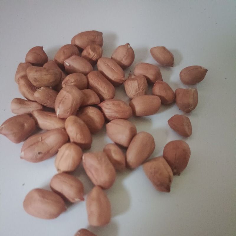 

kacang tanah lokal, kacang bumbu 1 kg