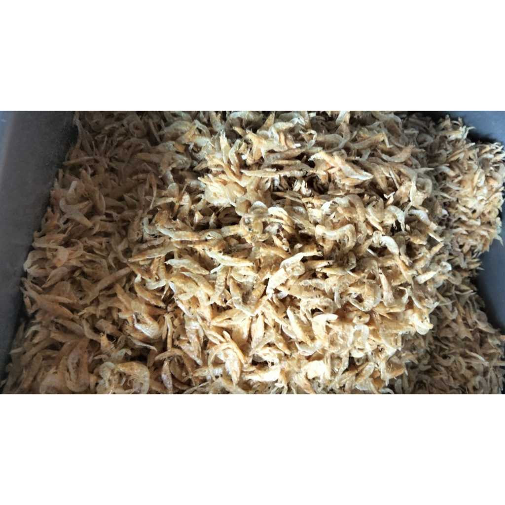 

Udang Rebon Tawar Premium