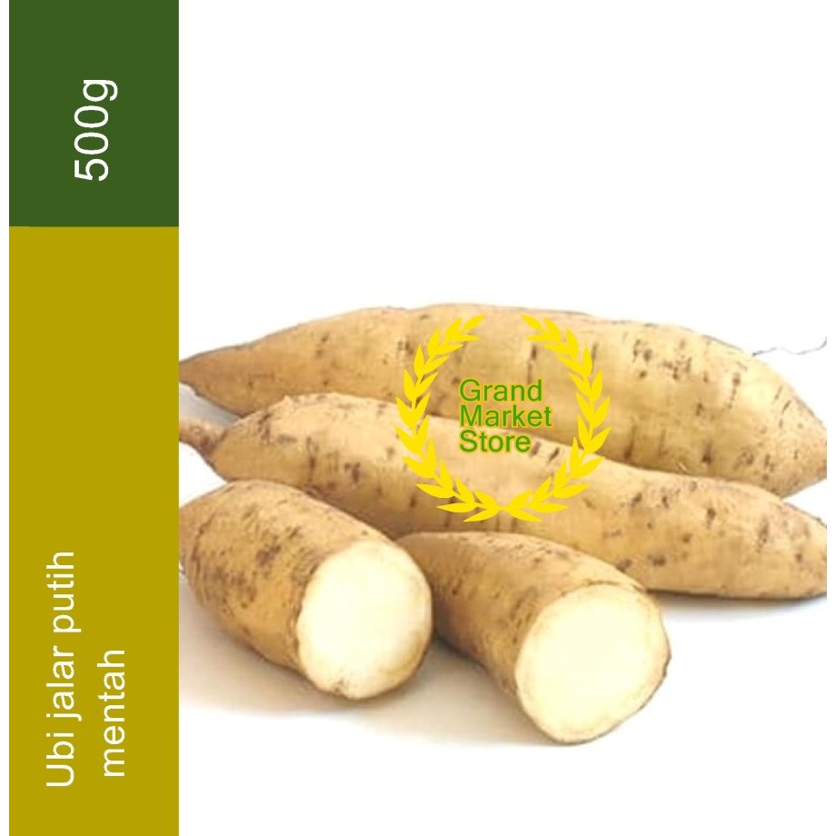 

Ubi Putih 500 gr Ubi Putih / White Sweet Potato Ubi Jalar Putih 500 gram Ubi Manis Ubi Jalar Putih Segar