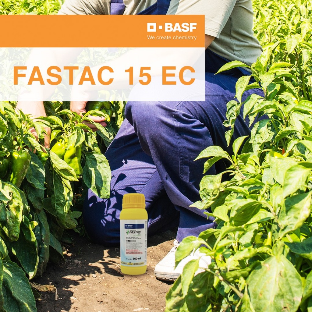 Insektisida Fastac 15 EC Terbaru 250 Ml