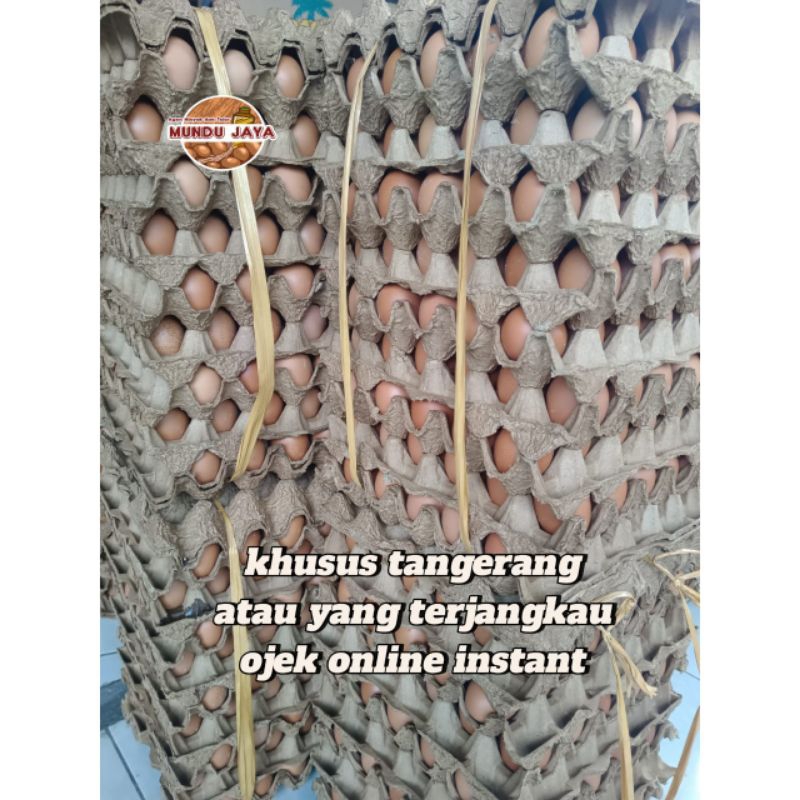 

telur ayam negeri per iket - isi 15kg