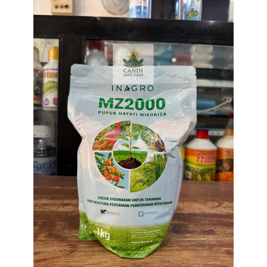 MIKORIZA MZ2000 POWDER 1KG