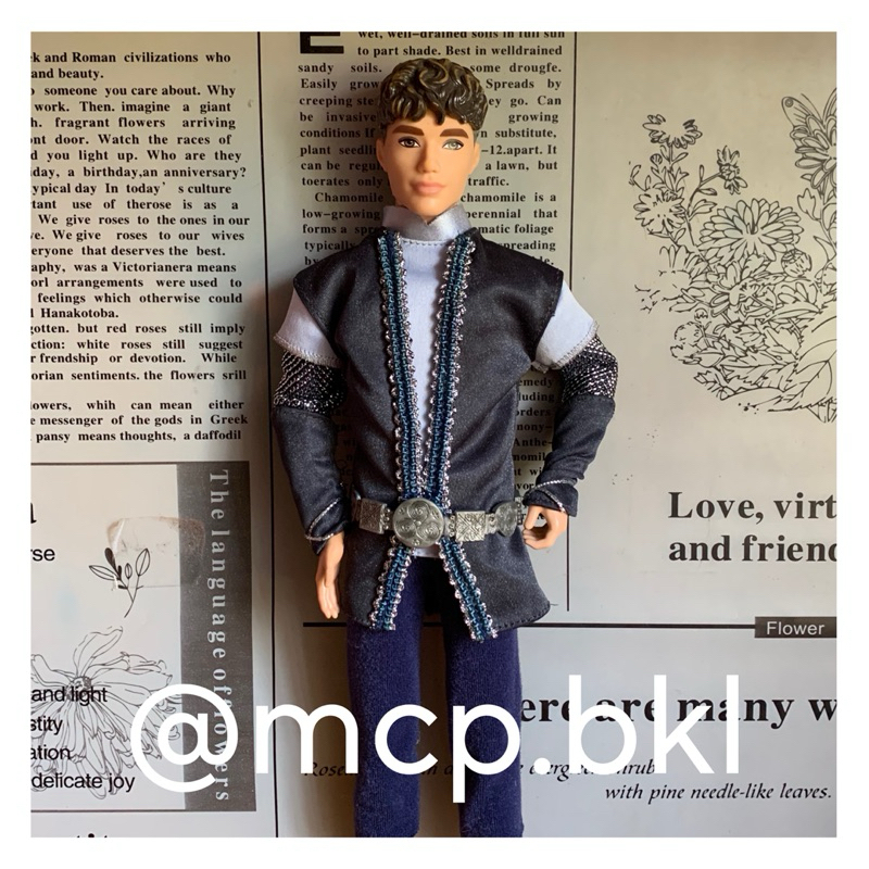 (OUTFIT ONLY) Barbie and the Magic of Pegasus Ken Prince Aidan Outfit Preloved
