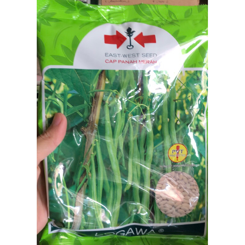 

benih buncis panjang logawa 500gr harga sementara