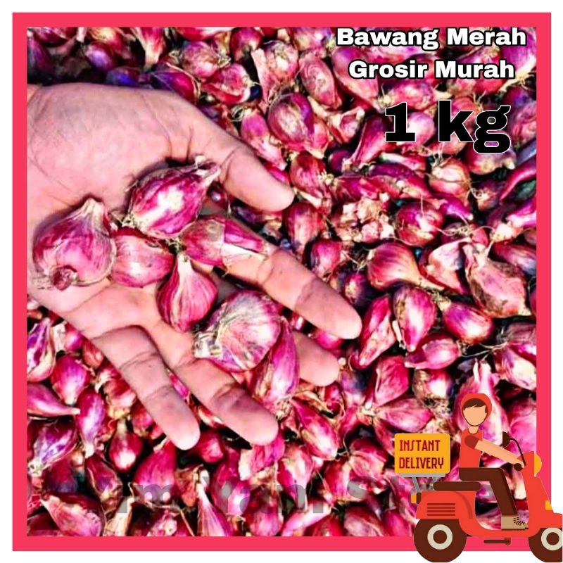

bawang merah Brebes 1kg grosir murah