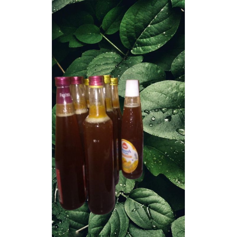 

Madu lebah apisdorsata