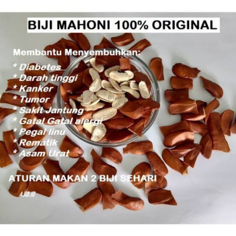 biji mahoni kering