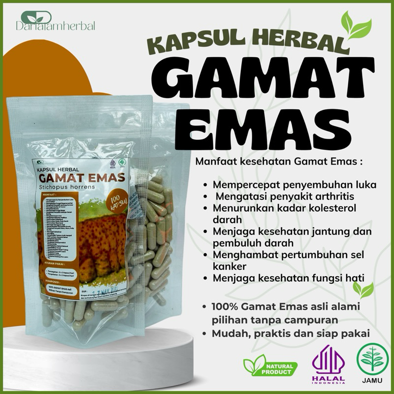 Kapsul Herbal GAMAT EMAS isi 100 kapsul | Kapsul Sejuta manfaat asli 100% Gamat Emas Alami