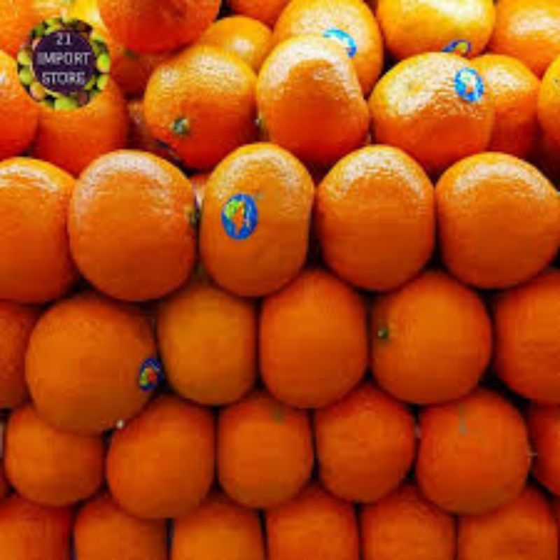 

buah jeruk Santang/madu