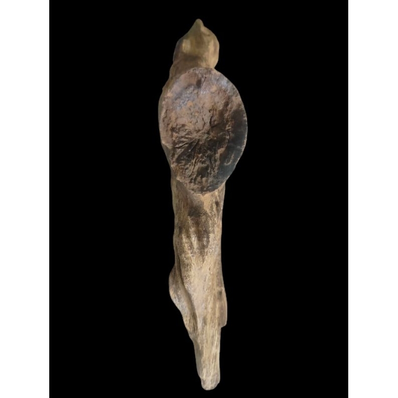 Dekor Kayu Gaharu Bouya Asli Kalimantan 1,2kg