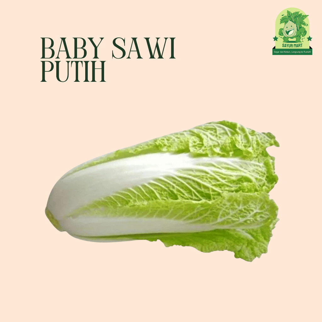 

Baby Sawi Putih