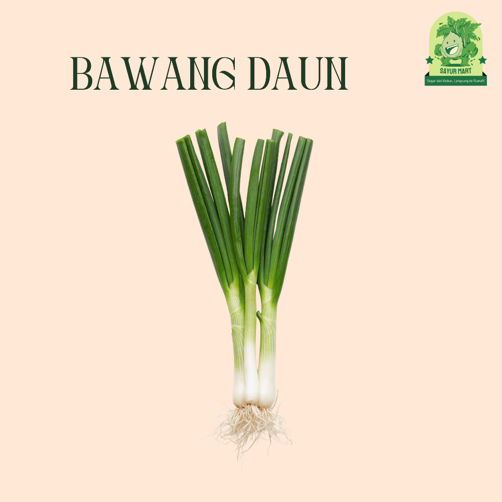 

Bawang Daun 200 Gram