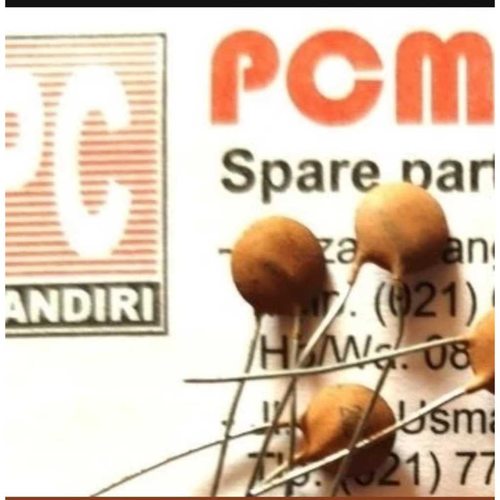 RE3208 New Capasitor Kapasitor keramik 5 piko farad 5 pf by PCM LTC GLODOK