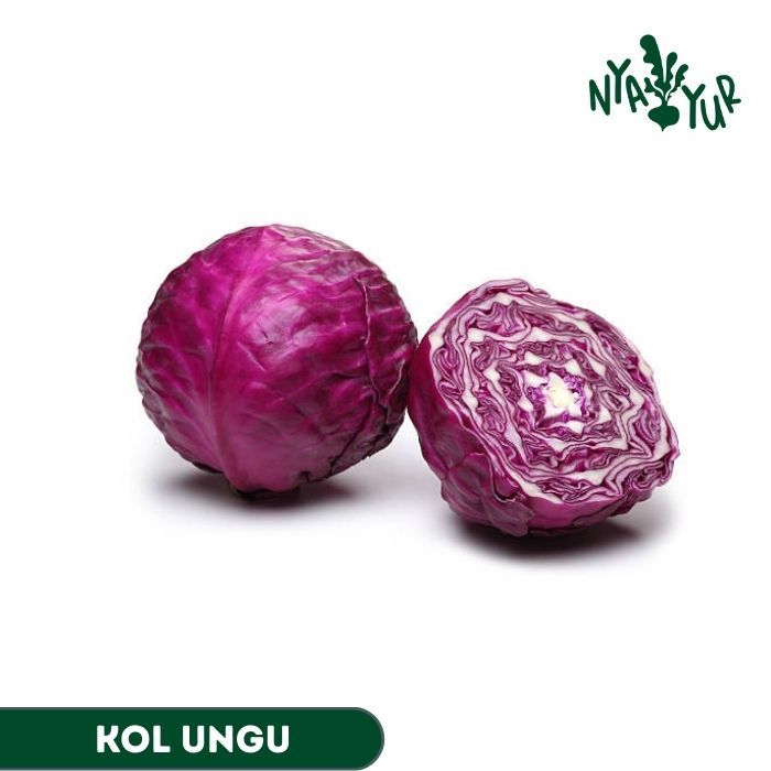 

INSTAN - Kol/Kubis Ungu Segar 550gr-660gr