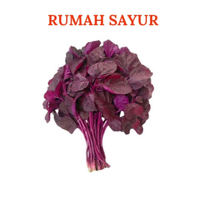 

Bayam Hijau dan Bayam Merah 1 Ikat
