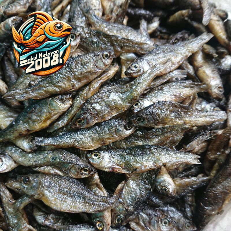 

Ikan bilih goreng | ikan danau | 500gr