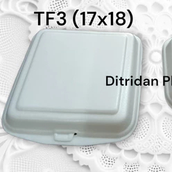 Sterofoam Makanan Sterofoam TF2 TF3